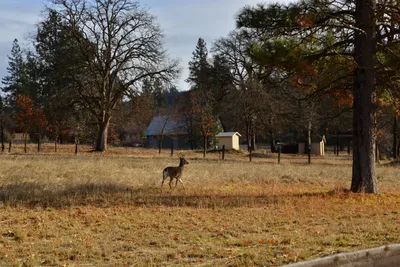 DSC_5849 (Large).JPG